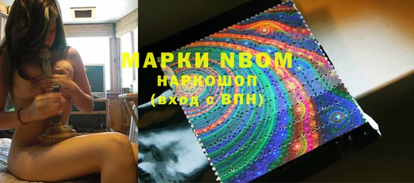 PSILOCYBIN Бородино