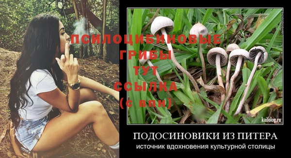 Альфа ПВП Волоколамск